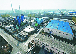 焦作瑞豐紙業有限公司 廢棄物焚燒供熱系統工程